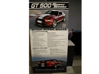 Image 1 of 1 of a N/A SUPER SNAKE DBL SIDED DISPLAY