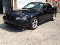 Image 1 of 4 of a 2001 FORD MUSTANG COBRA