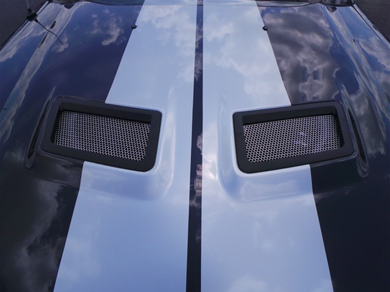 5th Image of a 2007 FORD MUSTANG GT 500