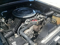 Image 11 of 11 of a 1985 FORD MUSTANG LX