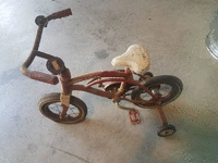 Image 1 of 1 of a N/A RADIO FLYER BIKE