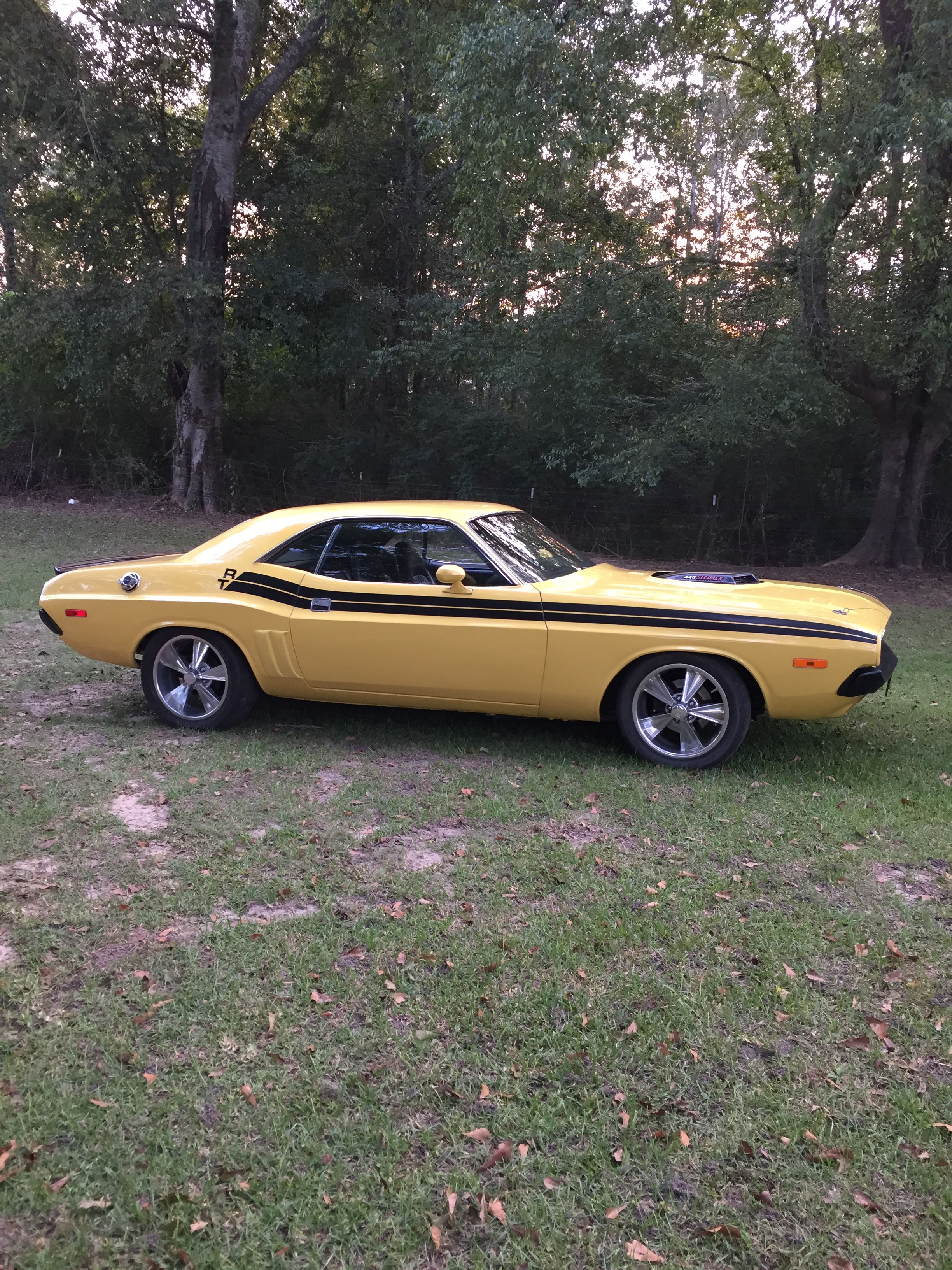 0th Image of a 1973 DODGE CHALLENGER