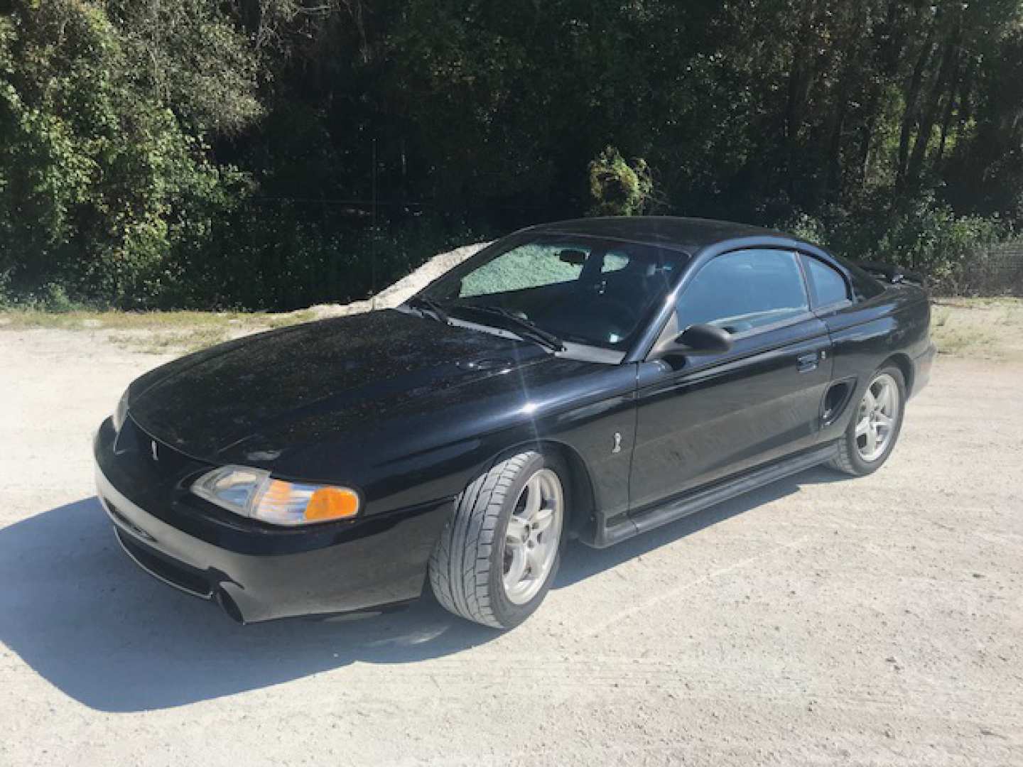 0th Image of a 1994 FORD MUSTANG SVT COBRA