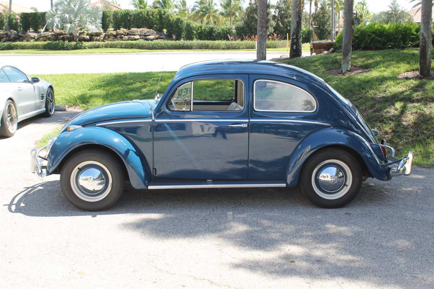 4th Image of a 1964 VOLKSWAGEN BEETLE