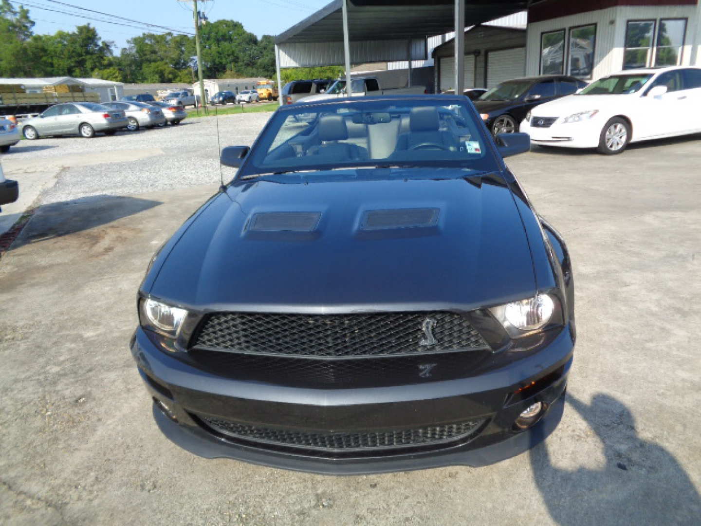 5th Image of a 2007 FORD MUSTANG SHELBY GT500