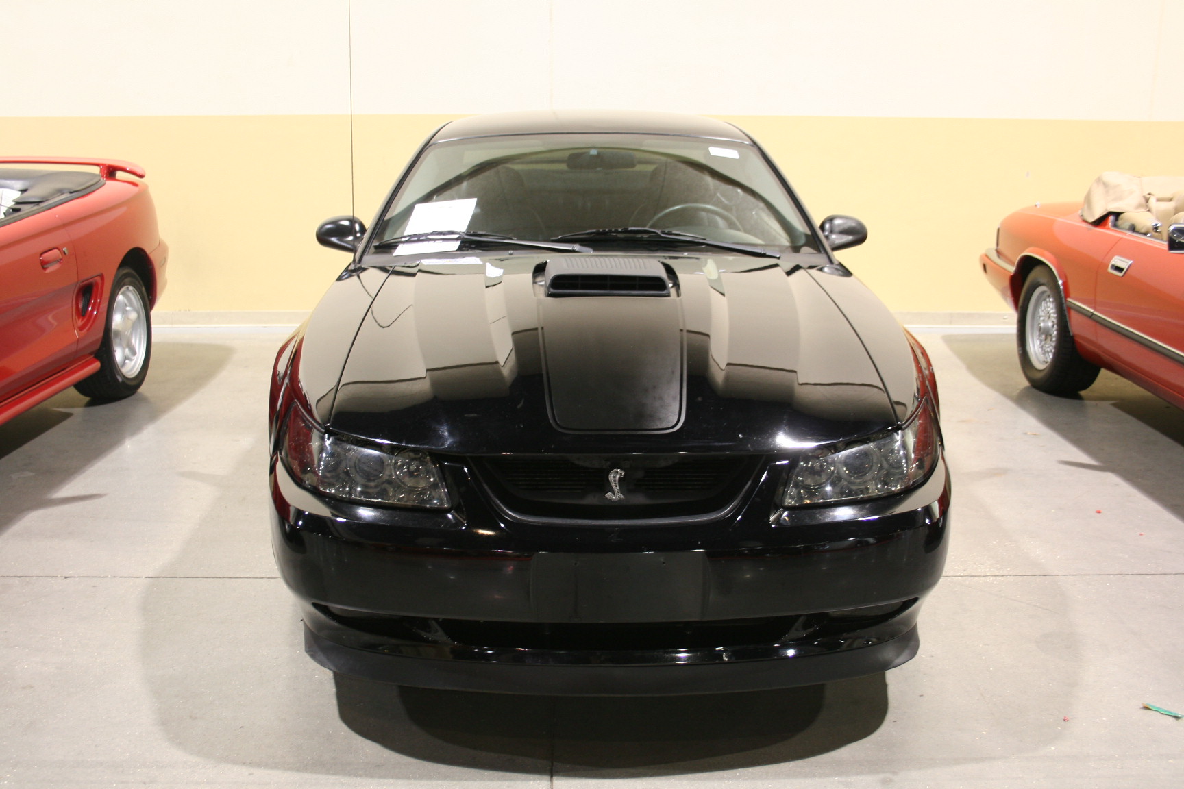 0th Image of a 2003 FORD MUSTANG MACH 1