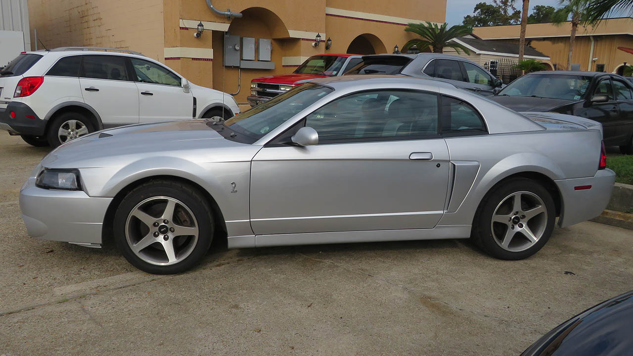 3rd Image of a 2003 FORD MUSTANG COBRA SVT