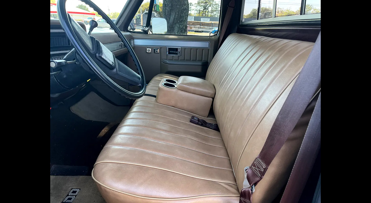 10th Image of a 1983 CHEVROLET C10