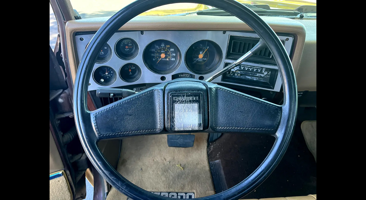 12th Image of a 1983 CHEVROLET C10