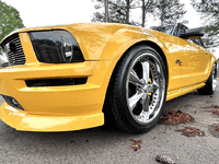 Image 1 of 12 of a 2008 FORD MUSTANG GTR