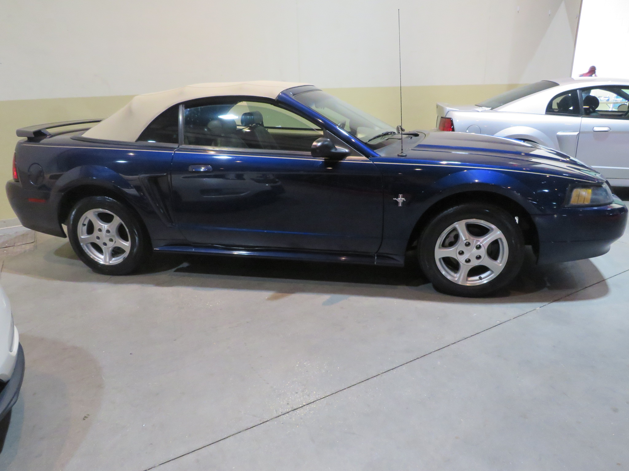 2nd Image of a 2003 FORD MUSTANG