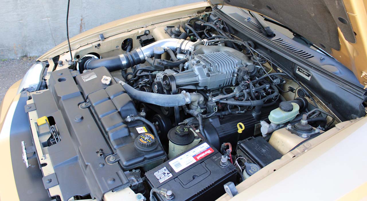 20th Image of a 2000 FORD MUSTANG GT SALEEN