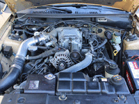 Image 19 of 29 of a 2000 FORD MUSTANG GT SALEEN