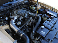 Image 20 of 29 of a 2000 FORD MUSTANG GT SALEEN