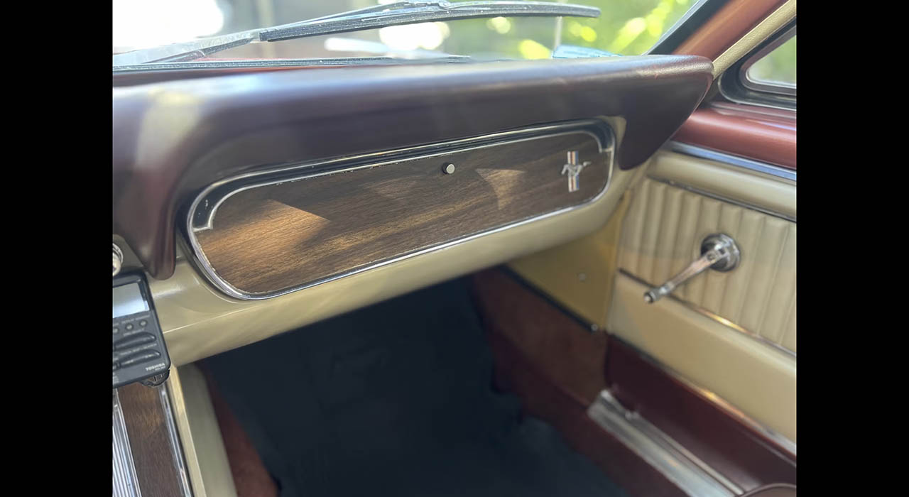 16th Image of a 1966 FORD MUSTANG GT