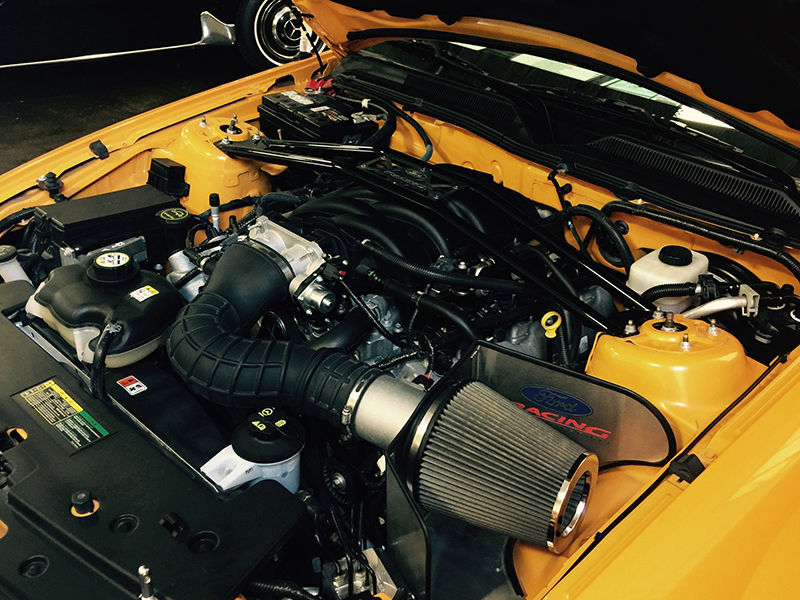 13th Image of a 2008 FORD MUSTANG GT