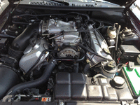 Image 4 of 4 of a 2001 FORD MUSTANG COBRA