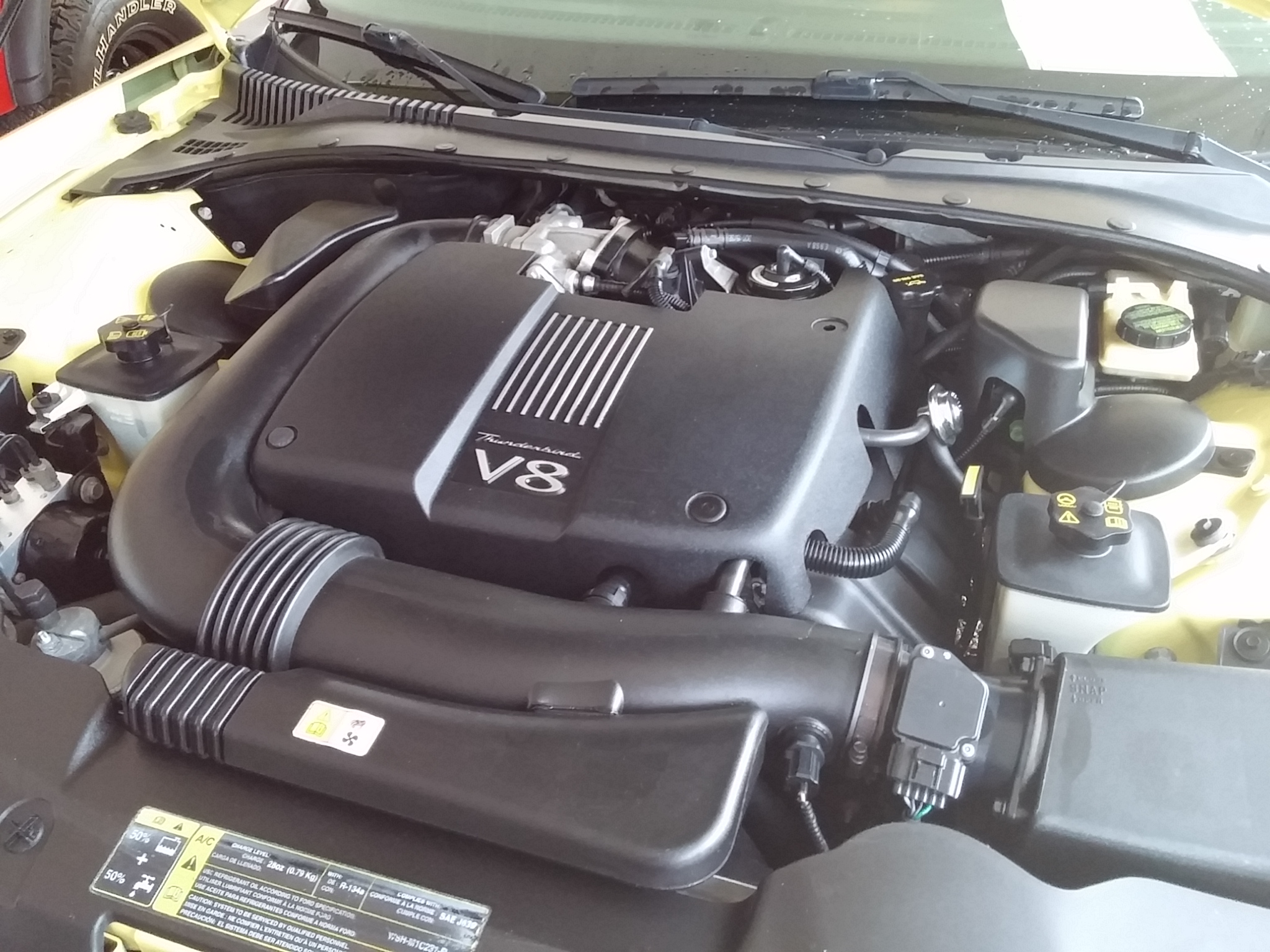 4th Image of a 2002 FORD THUNDERBIRD