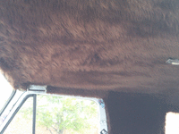 Image 9 of 9 of a 1961 FORD ECO VAN