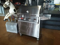 Image 1 of 2 of a N/A N/A GRILL