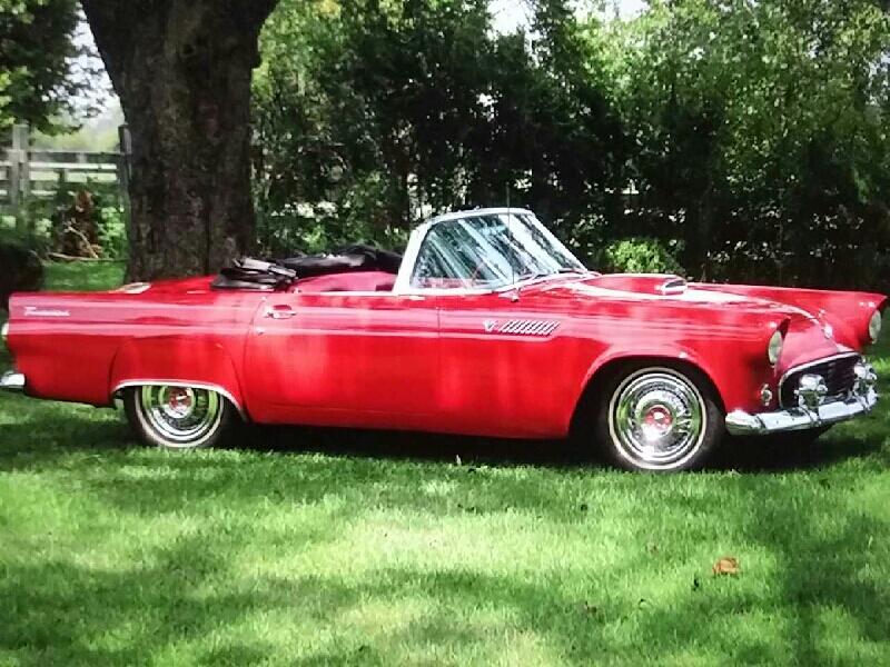 0th Image of a 1955 FORD THUNDERBIRD