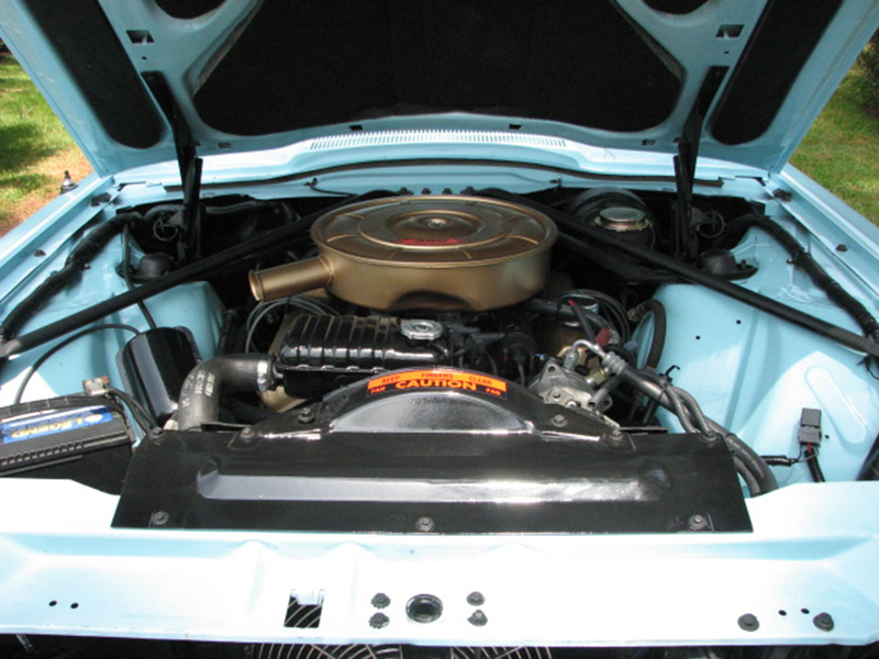 12th Image of a 1965 FORD THUNDERBIRD