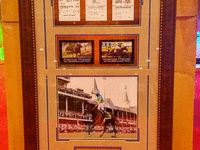 Image 1 of 1 of a N/A TRIPLE CROWN FRAME PICTURE