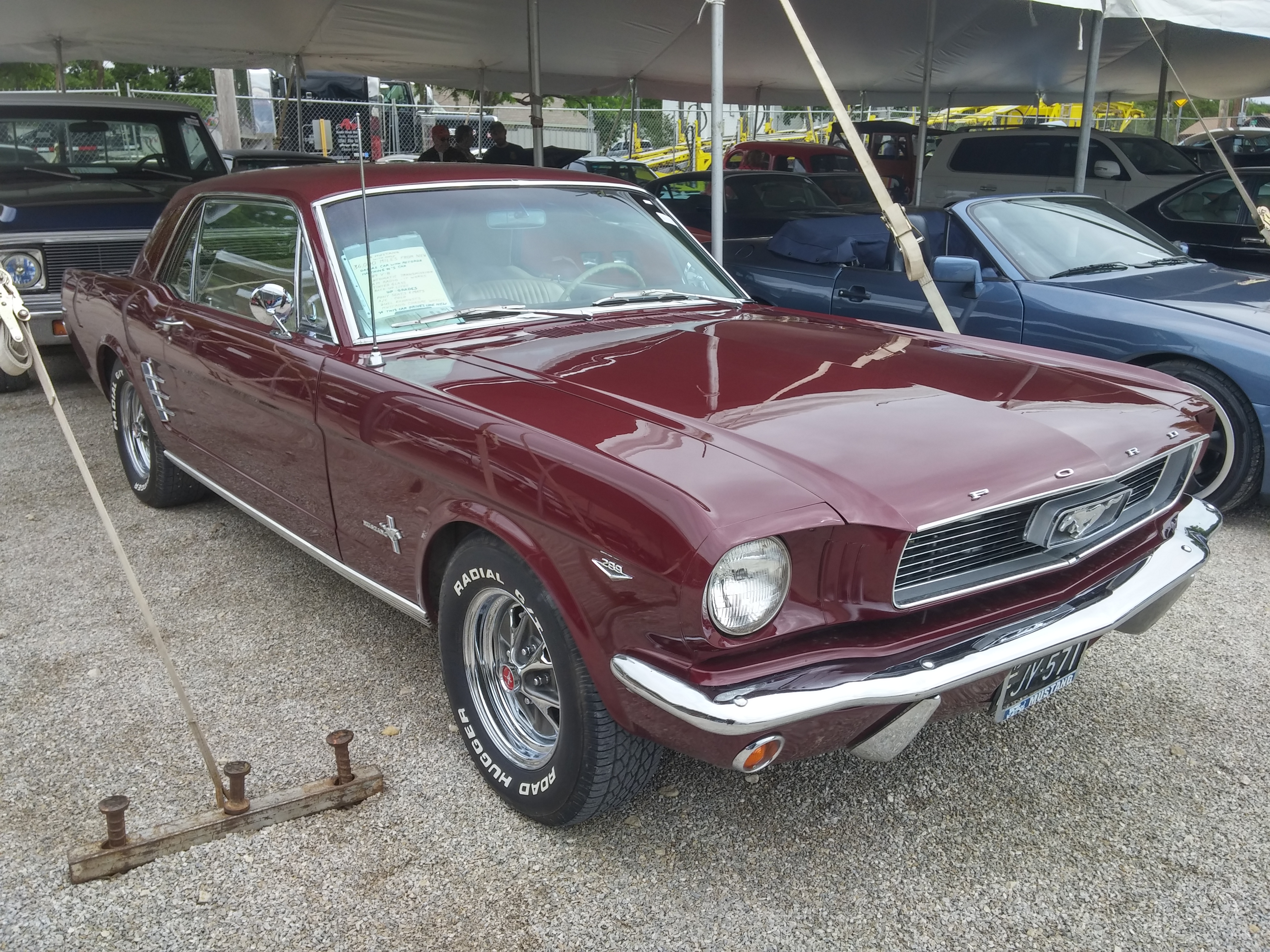 0th Image of a 1966 FORD MUSTANG