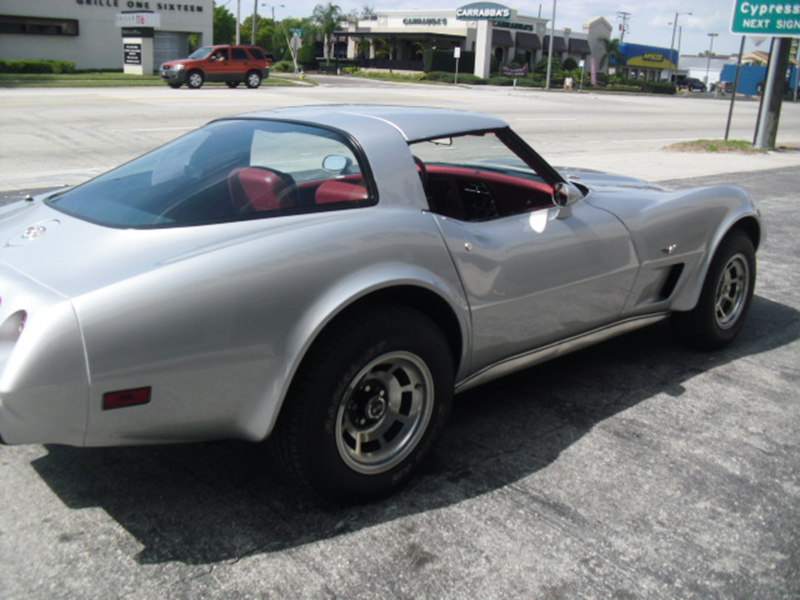 6th Image of a 1978 CHEVROLET CORVETTE