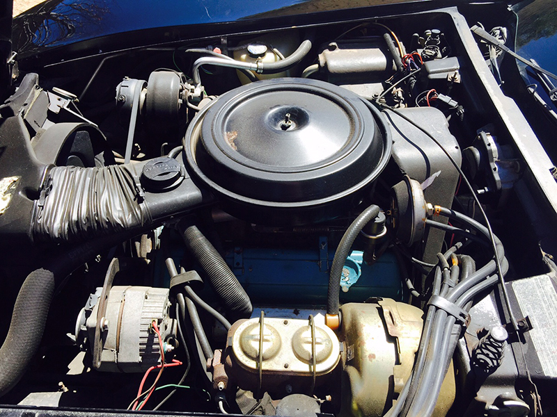 14th Image of a 1978 CHEVROLET CORVETTE PACE CAR