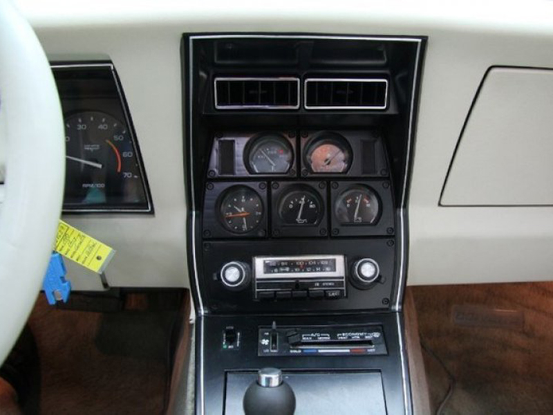 13th Image of a 1980 CHEVROLET CORVETTE