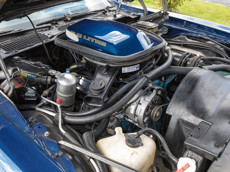 14th Image of a 1981 PONTIAC FIREBIRD TRANS AM