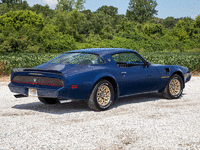 Image 4 of 19 of a 1981 PONTIAC FIREBIRD TRANS AM