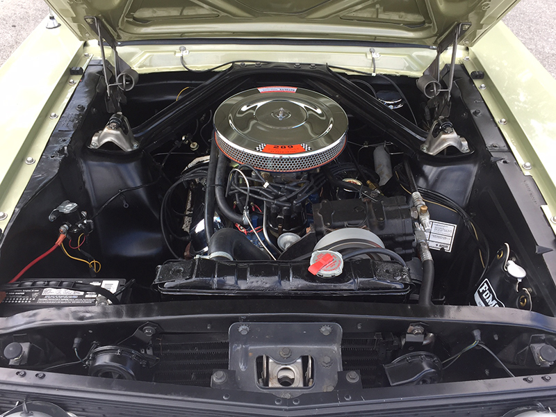 17th Image of a 1966 FORD MUSTANG GT
