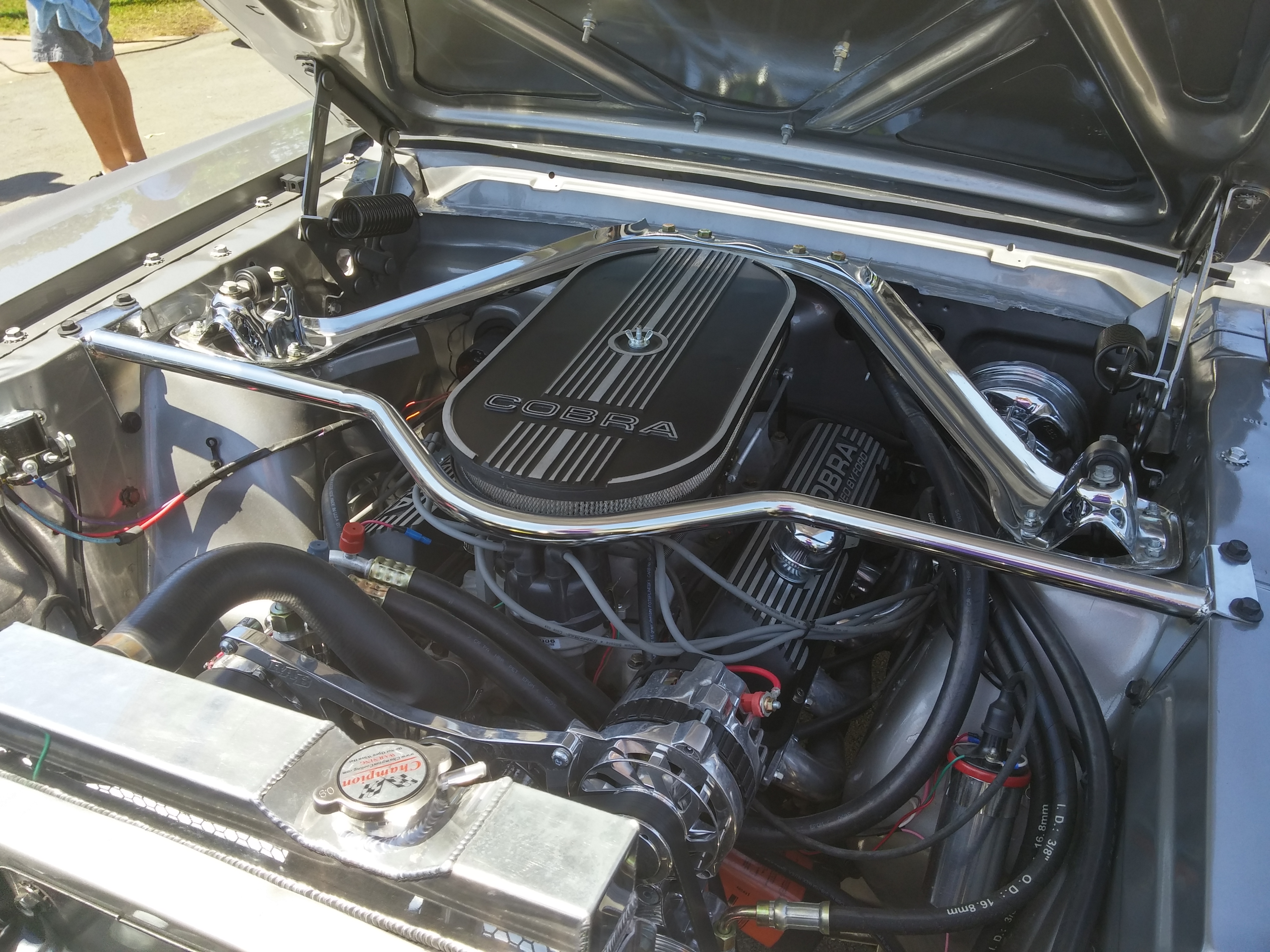 6th Image of a 1965 FORD MUSTANG FAST BACK