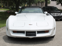 Image 3 of 10 of a 1982 CHEVROLET CORVETTE