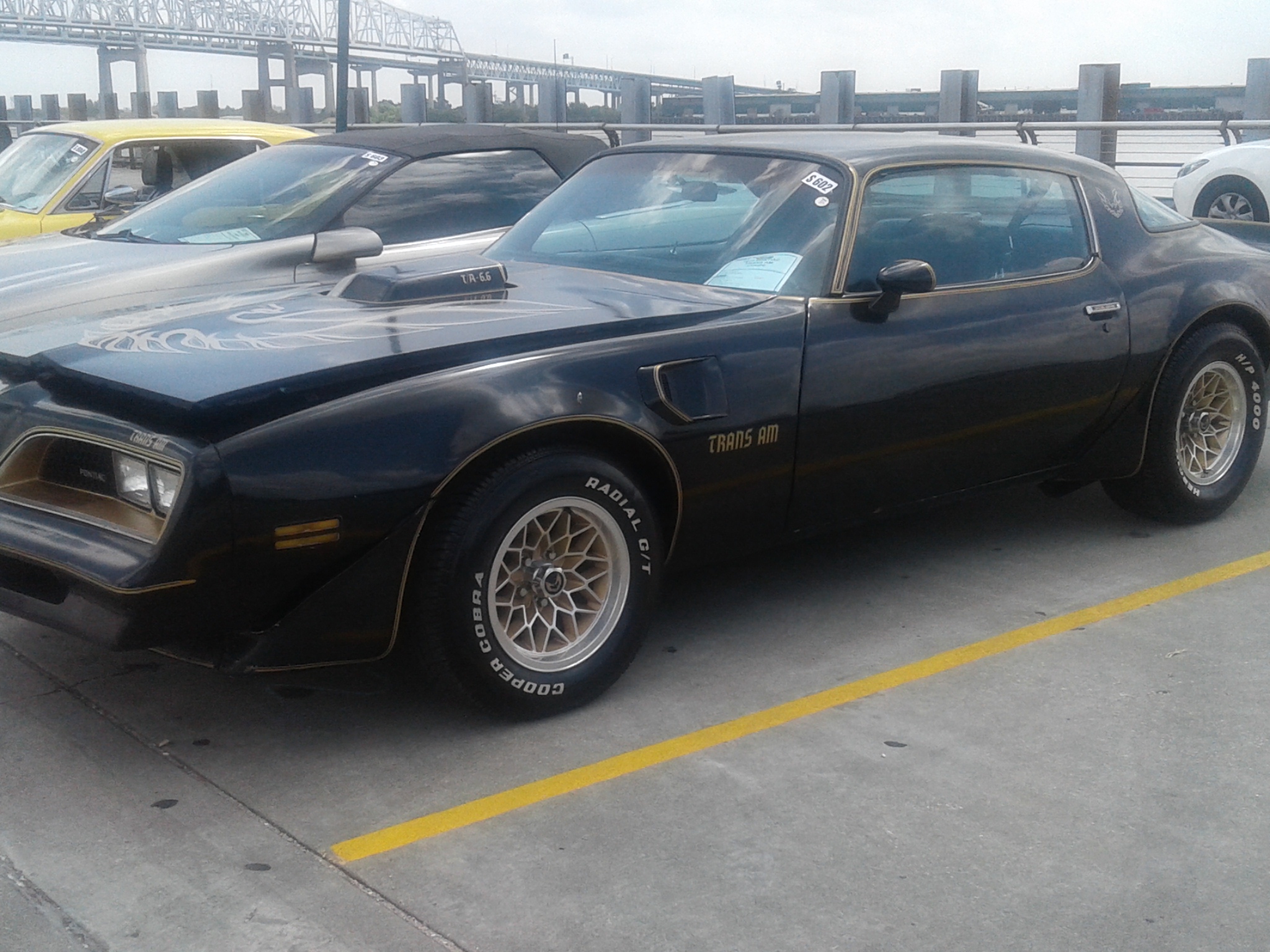 0th Image of a 1977 PONTIAC TRANS AM