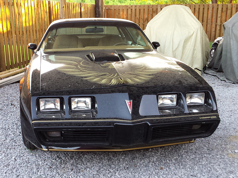 3rd Image of a 1979 PONTIAC TRANS AM