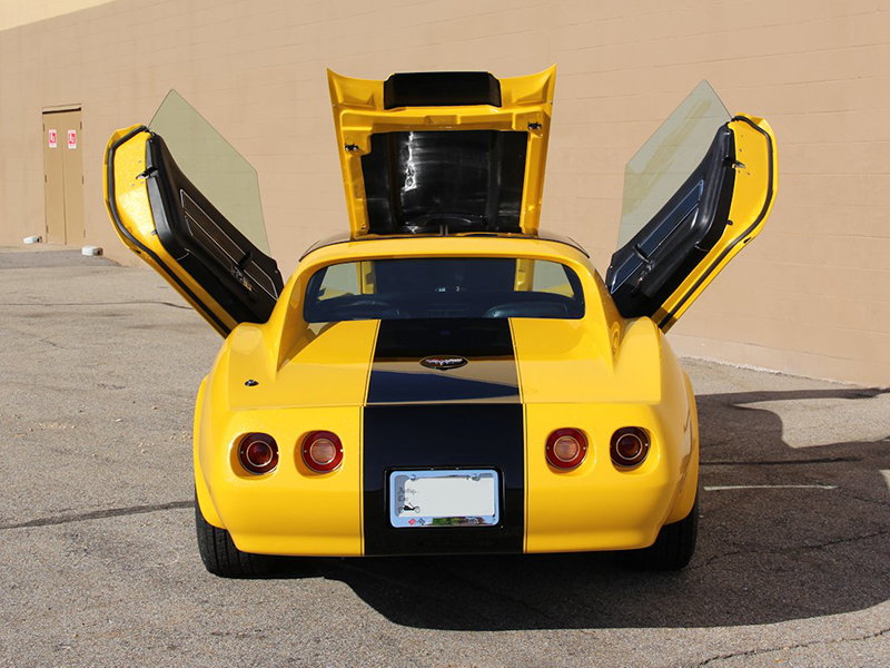 9th Image of a 1977 CHEVROLET CORVETTE