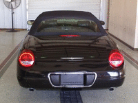 Image 5 of 8 of a 2004 FORD THUNDERBIRD