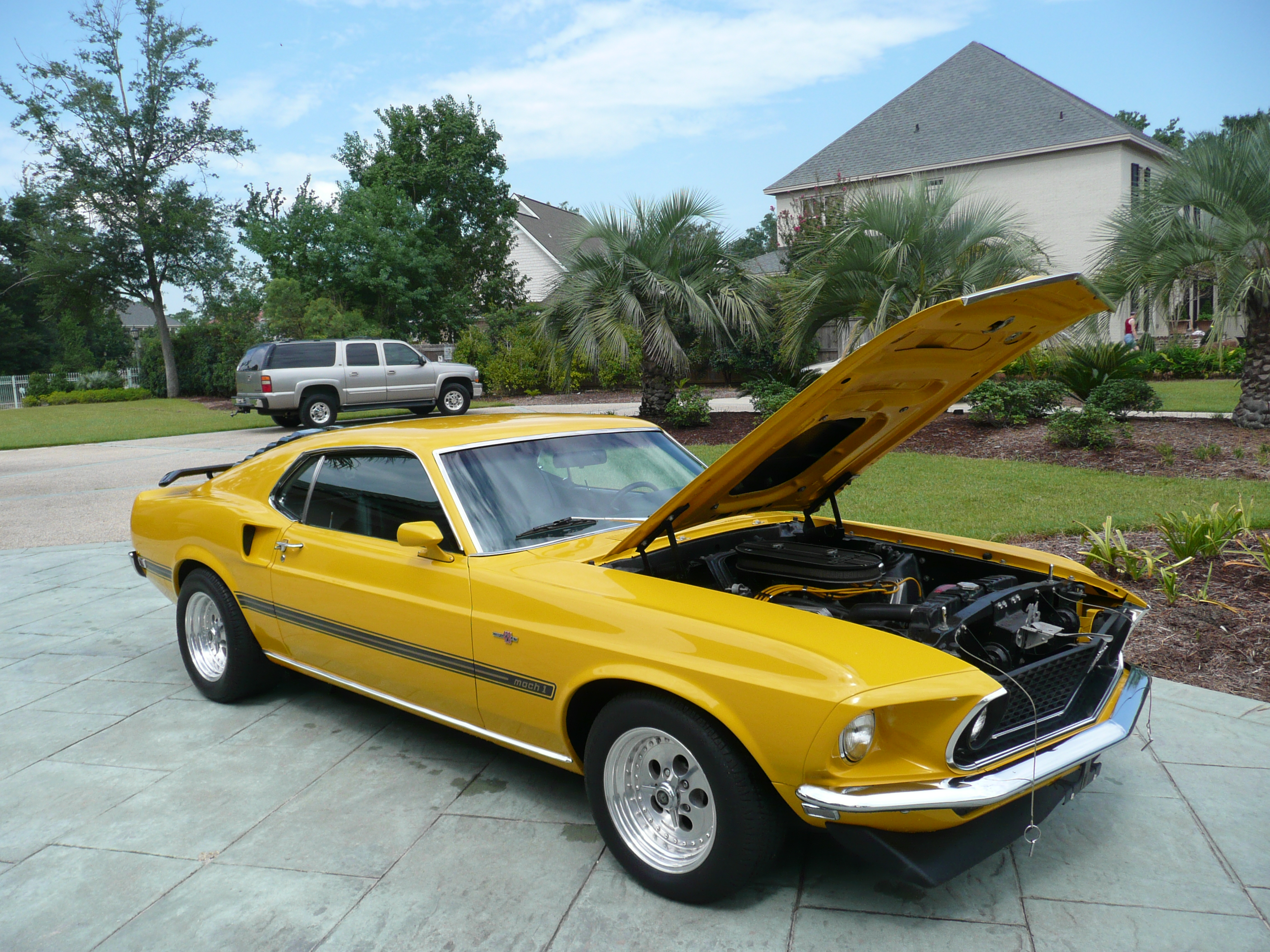 1st Image of a 1969 FORD MUSTANG COBRA JET CLONE