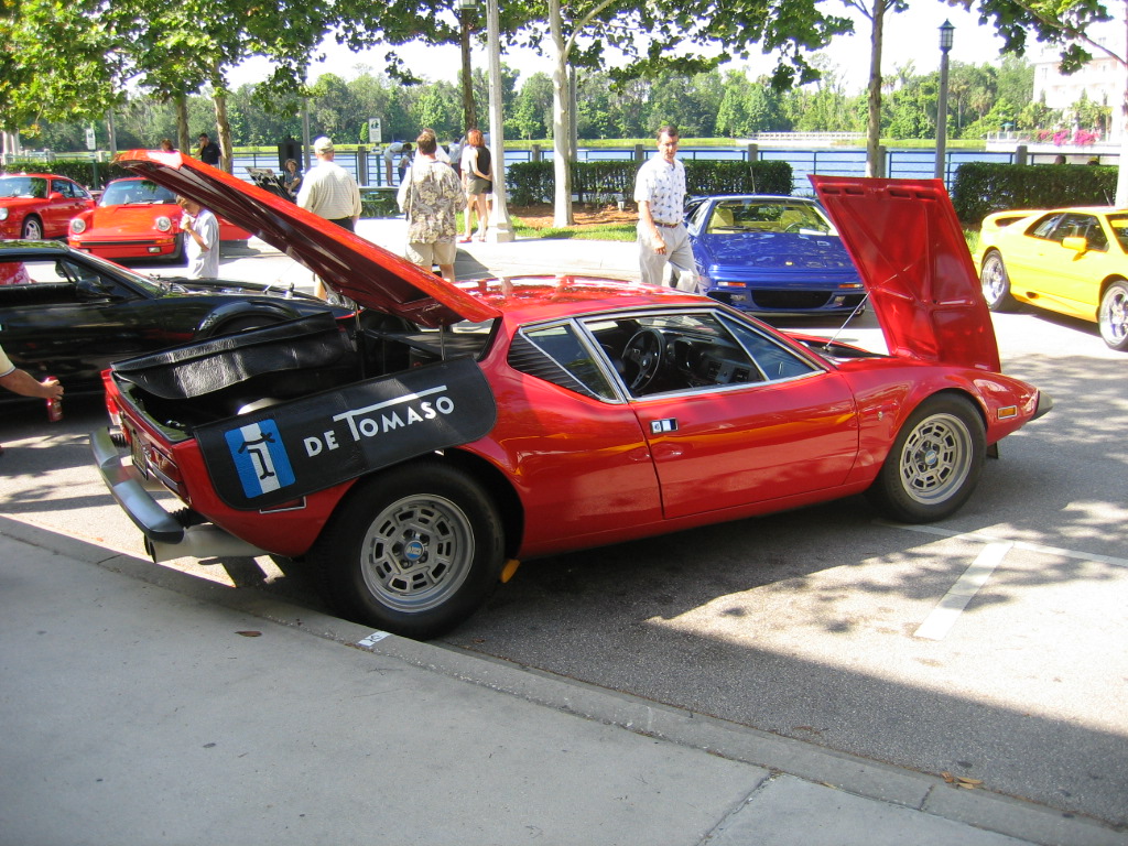 3rd Image of a 1973 DETOMASO PANTERA