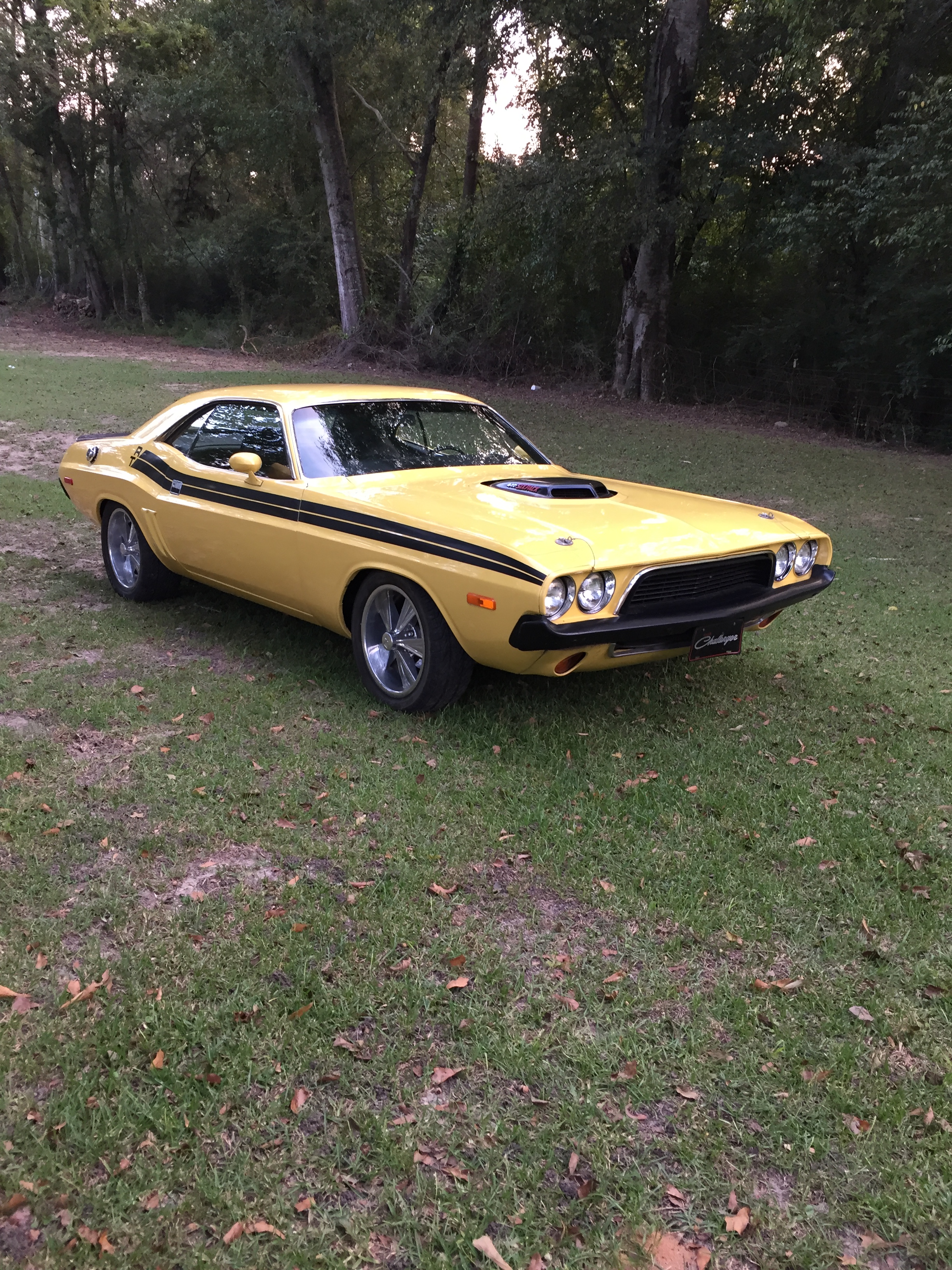 1st Image of a 1973 DODGE CHALLENGER