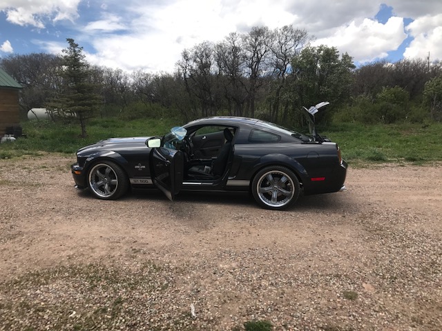 0th Image of a 2007 FORD MUSTANG SHELBY GT500