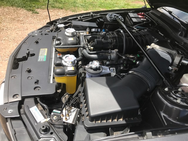 20th Image of a 2007 FORD MUSTANG SHELBY GT500