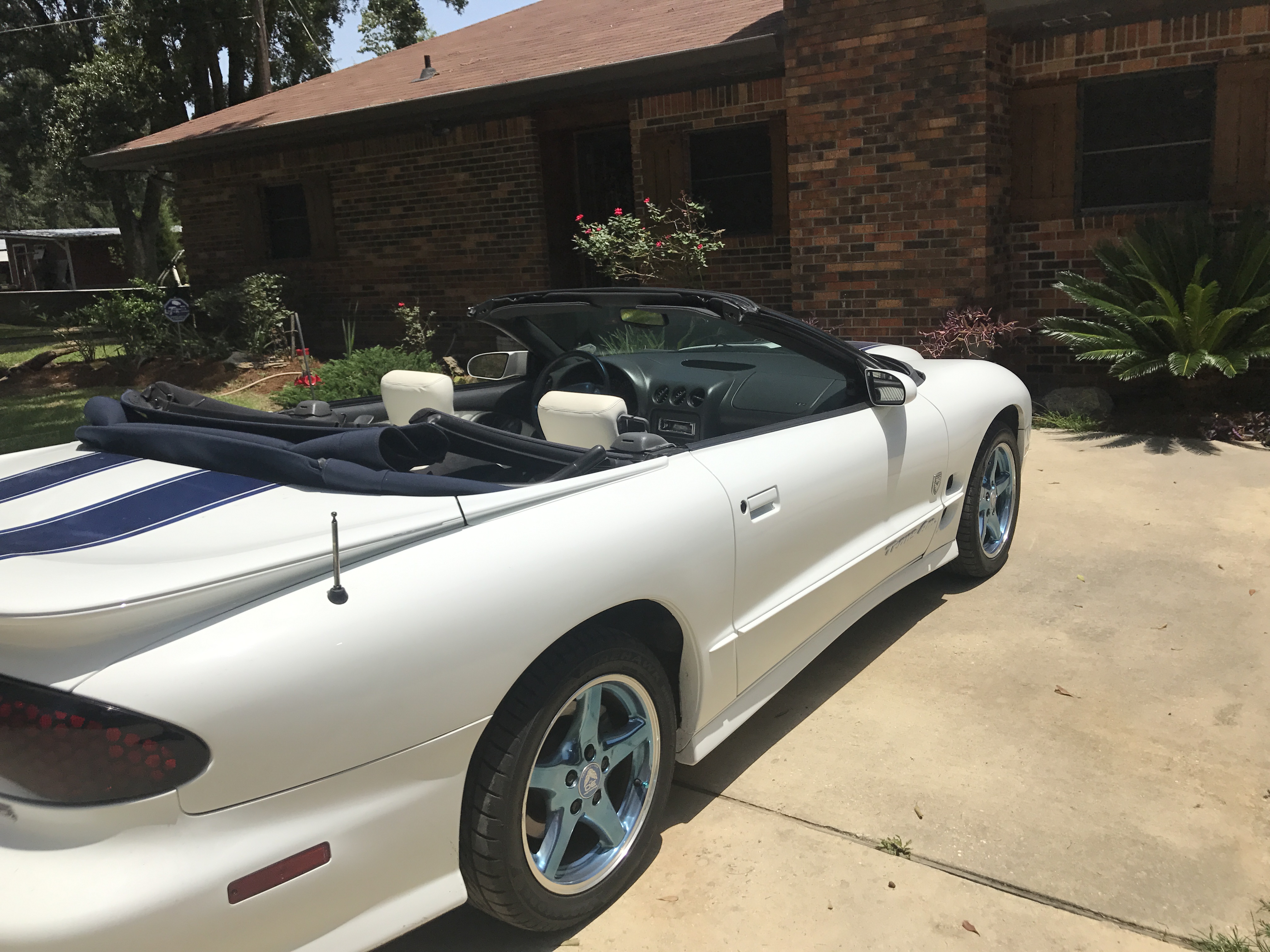 0th Image of a 1999 PONTIAC FIREBIRD TRANS AM