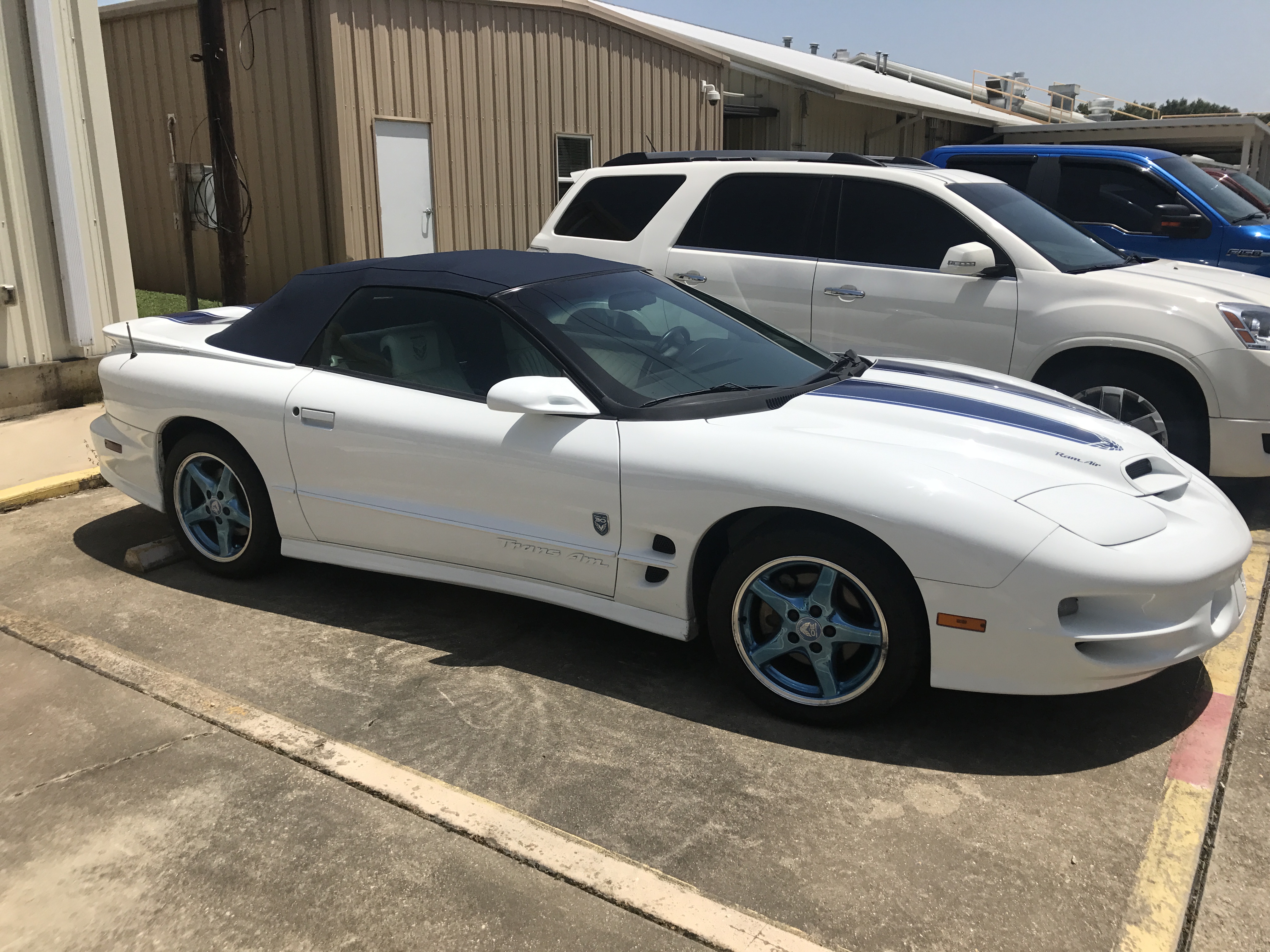 2nd Image of a 1999 PONTIAC FIREBIRD TRANS AM