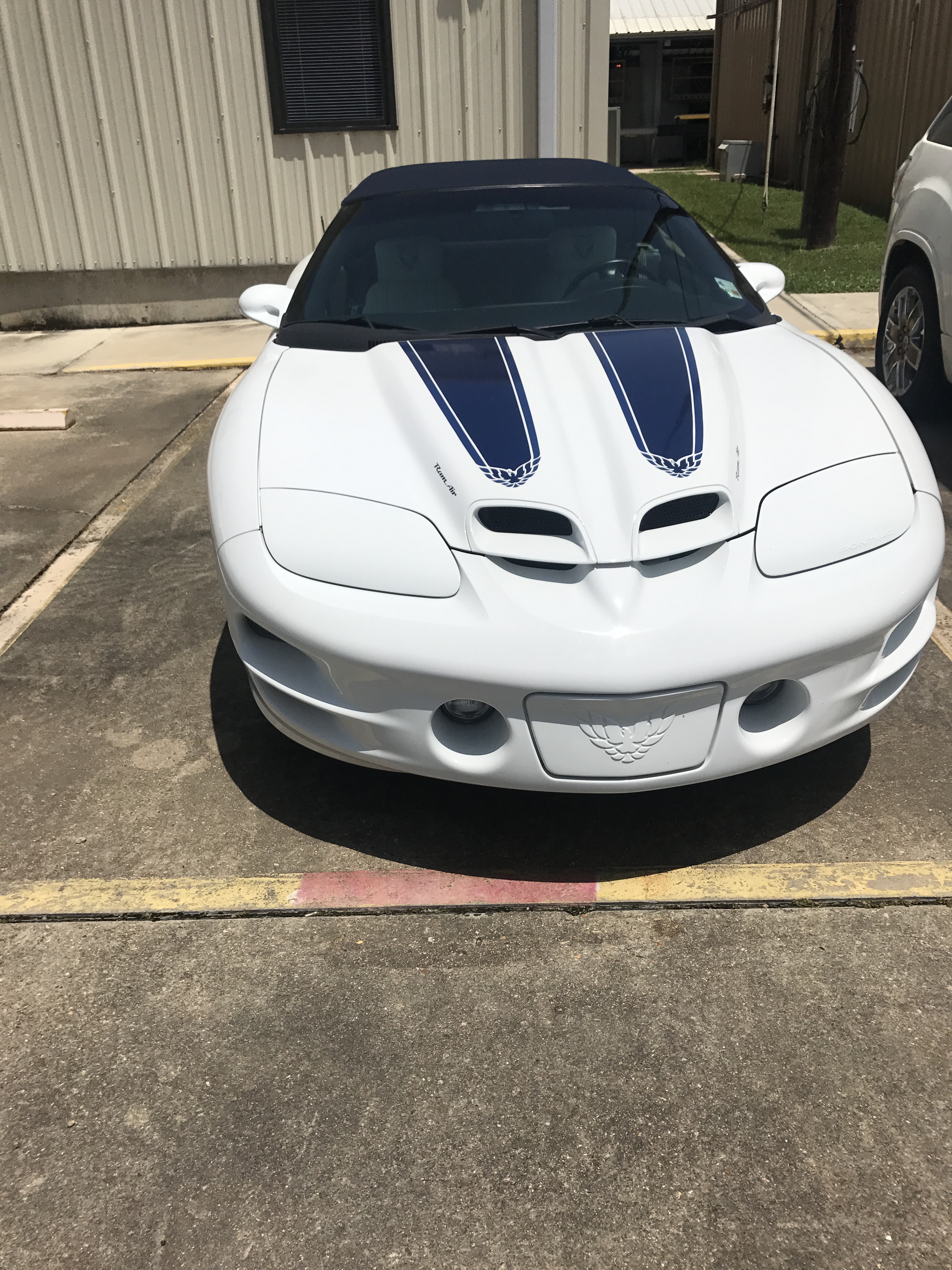 5th Image of a 1999 PONTIAC FIREBIRD TRANS AM