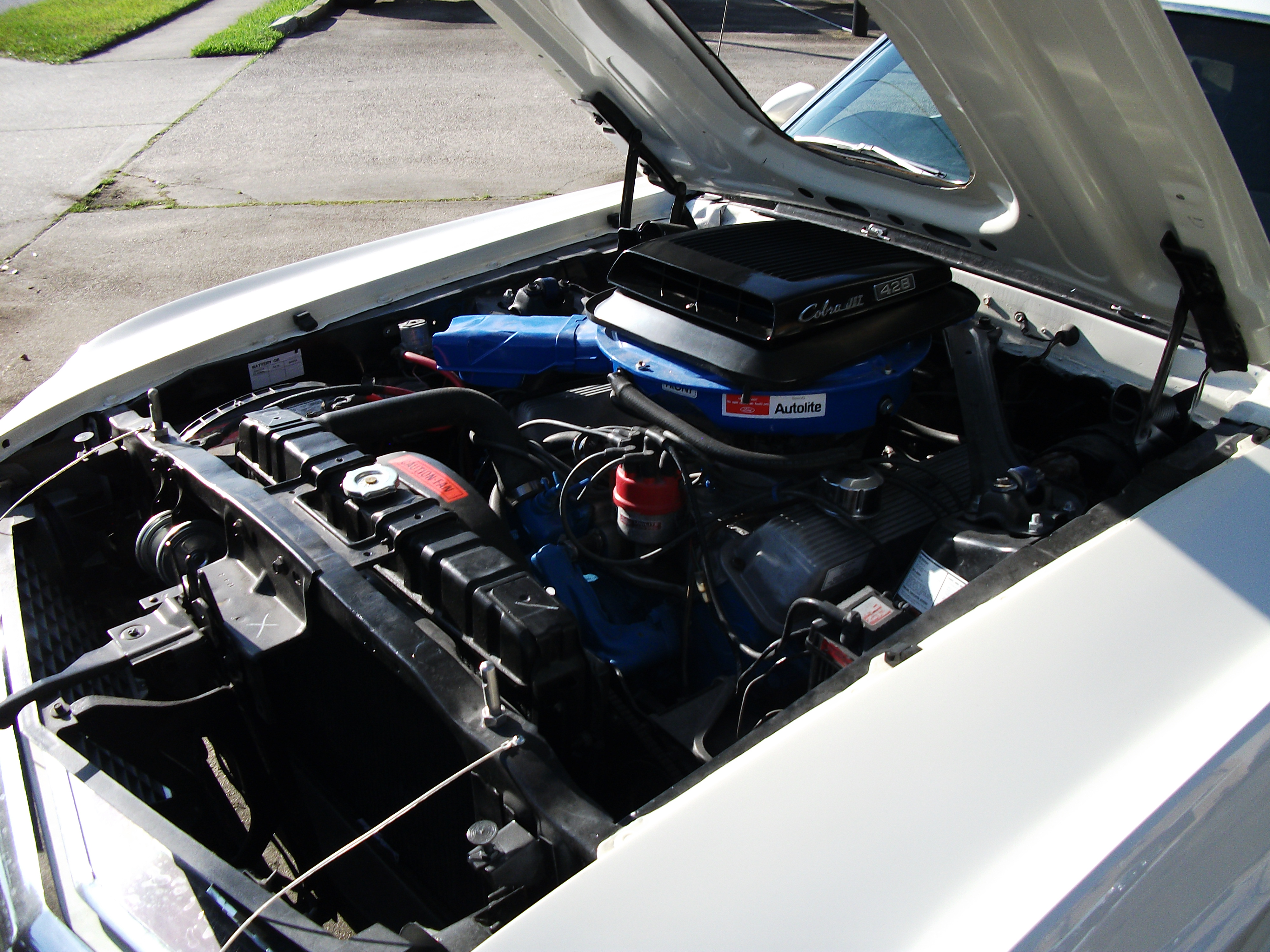 6th Image of a 1969 FORD COBRA JET MUSTANG