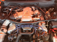 Image 6 of 6 of a 1997 FORD MUSTANG COBRA